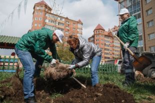 Волонтеры РУСАЛа помогают жителям сажать деревья.