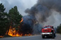 Лесной пожар в Тюменской области. 15.05.2021 г.