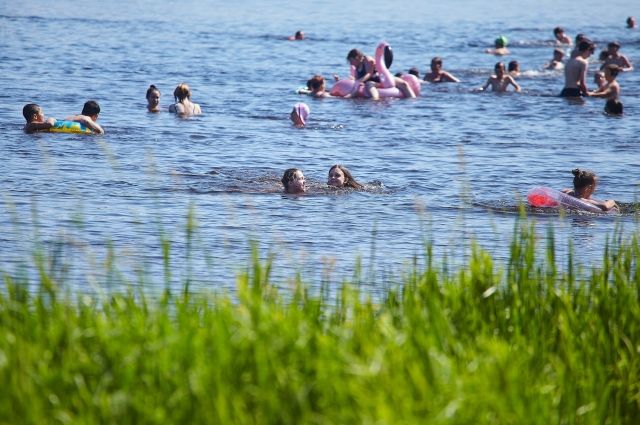 С 1 июня на четырёх пляжах Рязани откроют купальный сезон