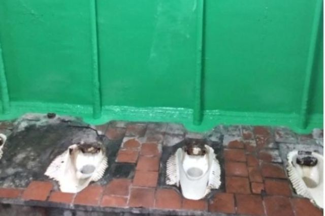 В Новосибирской области две школы победили в конкурсе худших туалетов