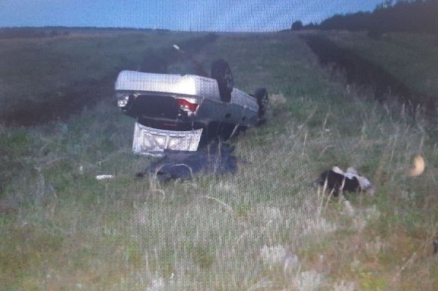 В Аткарском районе водитель Daewoo Nexia вылетел в кювет и погиб