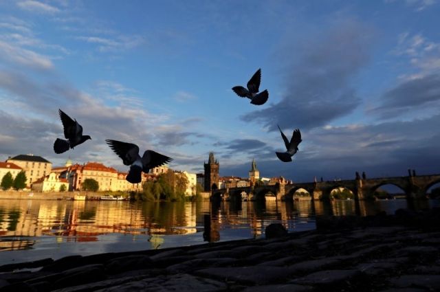 Чехия призвала Россию исключить ее из списка «недружественных стран»