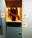 Скульптура ангела (19-й век). Посетителям выставки предлагают угадать, какие фрагменты дорезал реставратор. Узнать ответ можно, открыв дверцу под скульптурой.