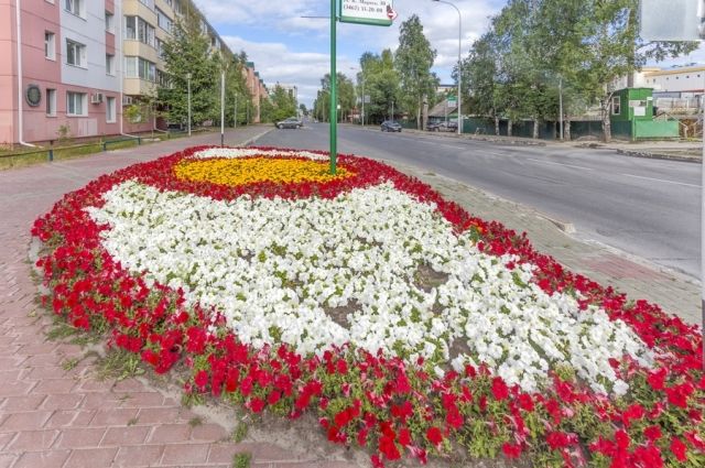 В окружной столице высадят 213 342 цветка, 2000 кустарников и 500 деревьев