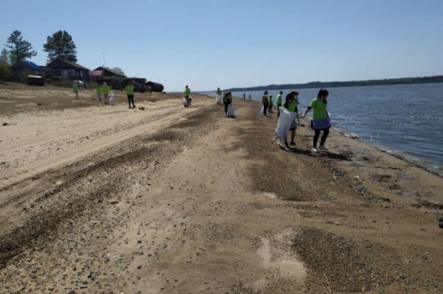 90 человек вышли на уборку берегов в Псковской области