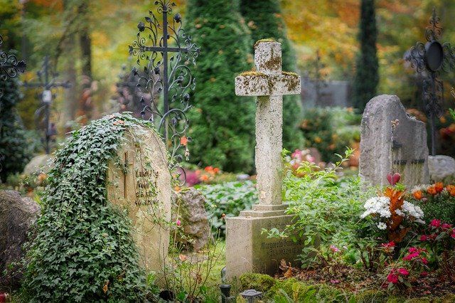 Порядок на владивостокских кладбищах наводят всем миром