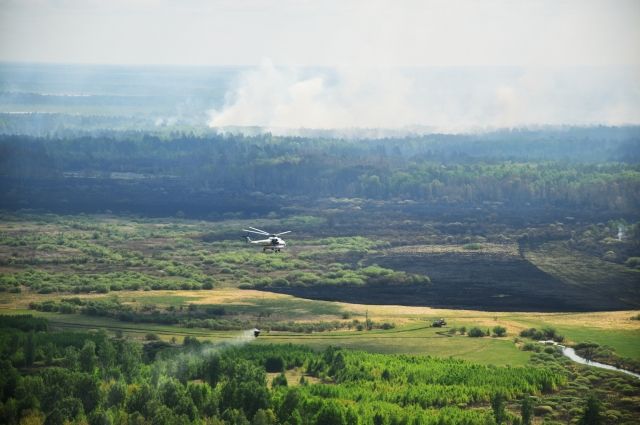 Восемь природных пожаров возникли в Тюменской области за сутки