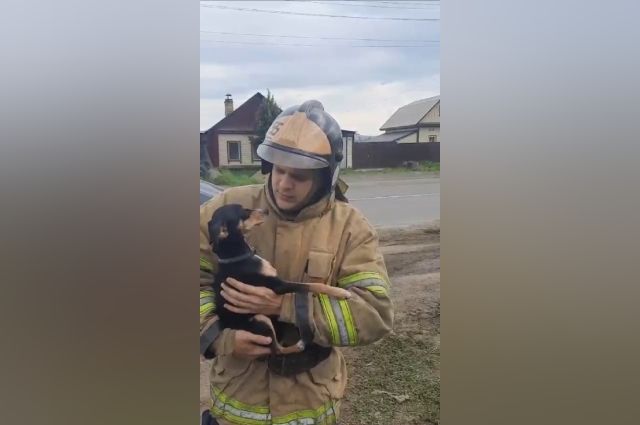 Пожарные спасли отравившуюся угарным газом собачку в Нижнеудинске