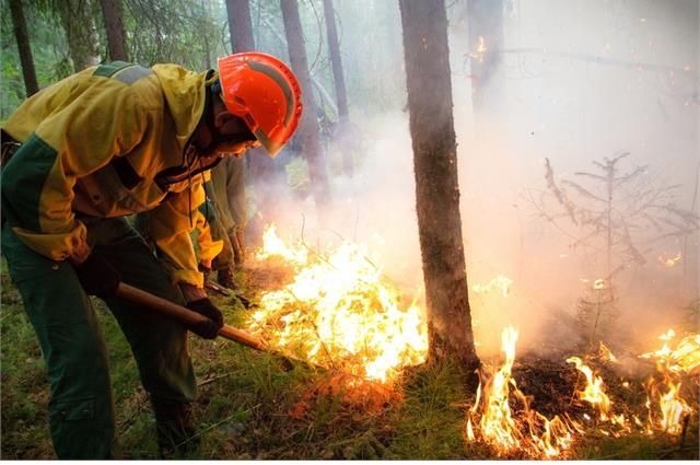 Экстренное предупреждение о пожарах выпущено в Новосибирской области