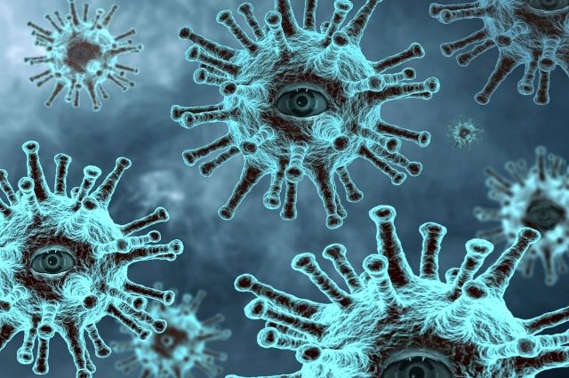 На Ямале у привитых «ЭпиВакКороной» оценят иммунитет к коронавирусу
