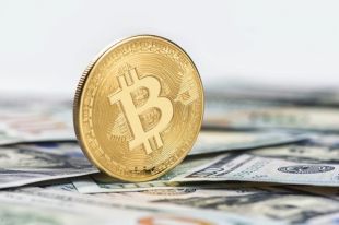 Первая в мире страна узаконила биткоин