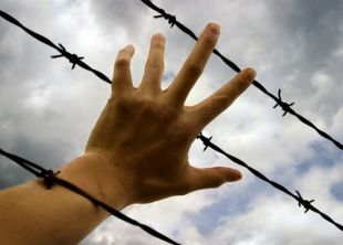 В Украине планируют досрочно освобождать заключенных: названа причина