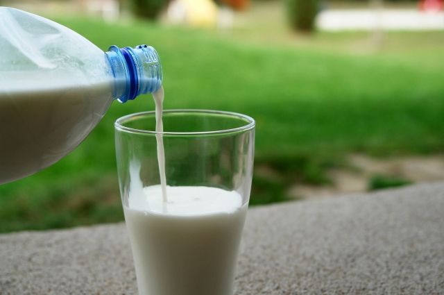 Алтайской молочной компании могут запретить выпускать кефир и сметану