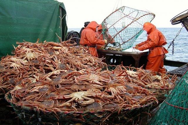 За любимый морепродукт грозит 7 тысяч штрафа