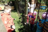 С сентября детские сады Красноярска начнут посещать больше 13 тыс. детей.