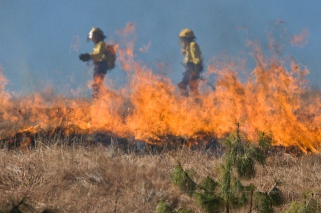 В Прикамье за неделю произошло более 200 пожаров, сгорели 10 человек