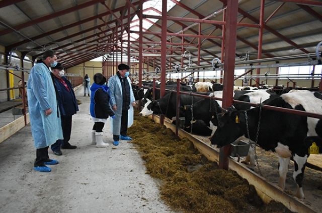 Решение о Ирбитском молочном заводе принято