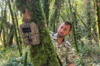 В лесах ставят фотоловушки для наблюдения за животными.