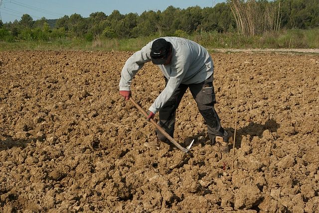 В Ростовской области пройдет перепись фермеров