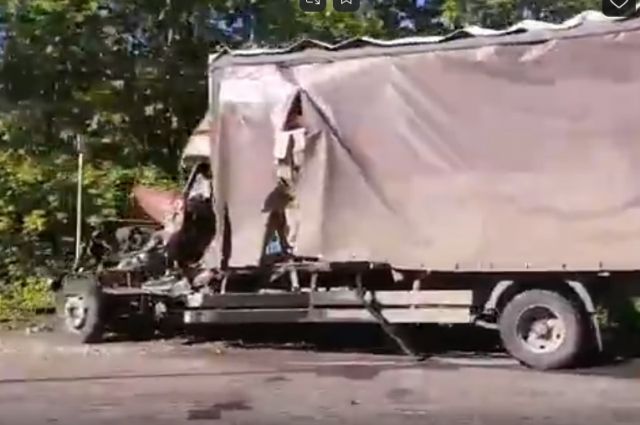 Опубликовано видео с места столкновения двух грузовиков под Рязанью