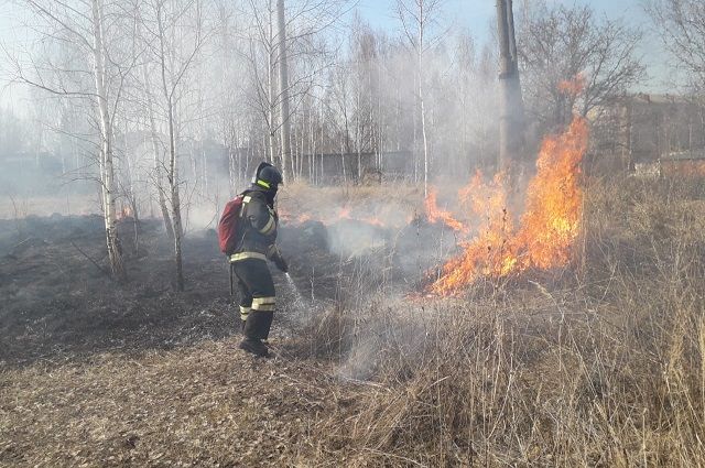 Во Владимирской области 18 июня введут особый противопожарный режим