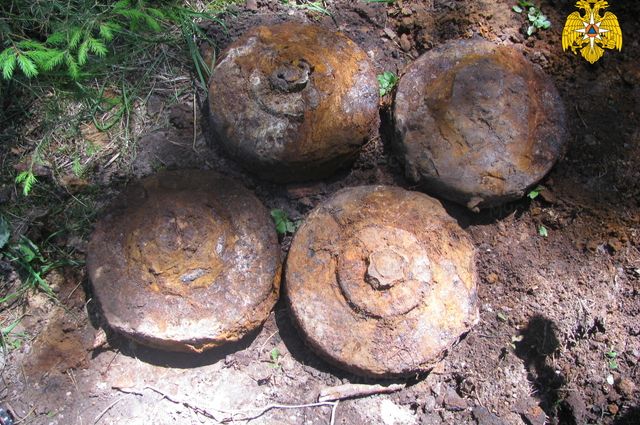 Четыре противотанковые мины обнаружили в Унечском районе