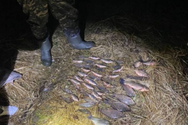 В Брянской области возбудили уголовное дело за незаконную рыбалку