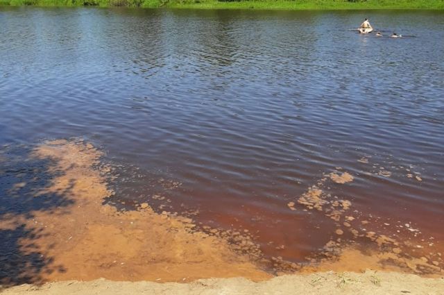 ЭРА: Старицу в Солотче загрязняют канализационными стоками