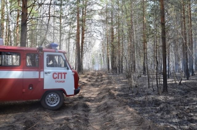 Крупный лесной пожар произошел в Челябинской области