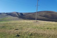 Возгорание сухой травы произошло в пяти километрах от села Васильевка Кувандыкского городского округа.