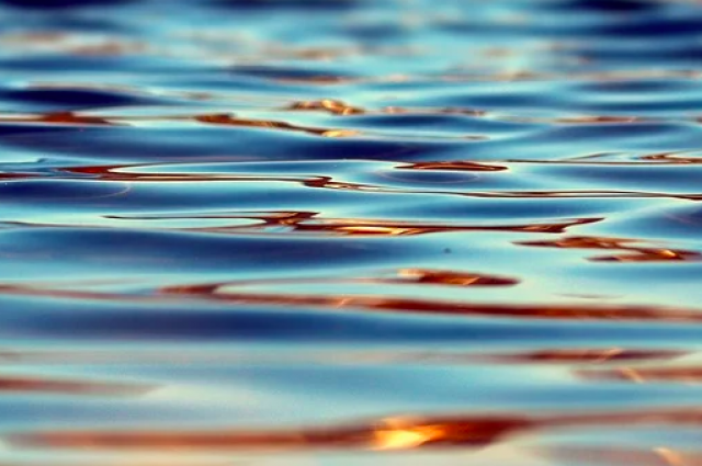В Орле в озере Светлая жизнь утонула десятилетняя девочка