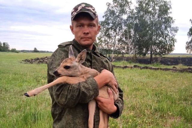 Маленькую косулю спасли от лесного пожара в Челябинской области