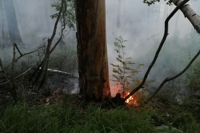 Около нацпарка «Таганай» произошел лесной пожар