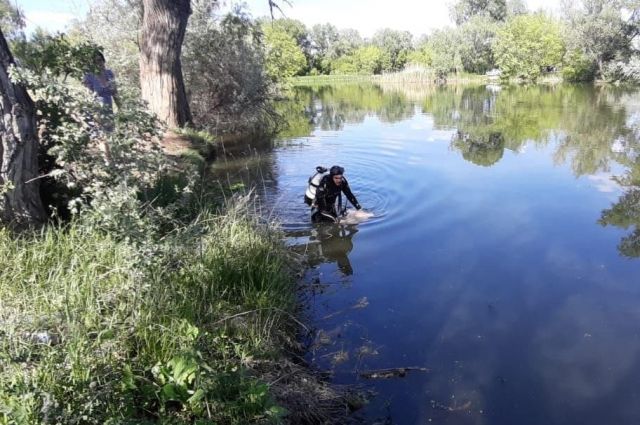 Всего в регионе зарегистрировано с начала года 24 происшествия на воде.