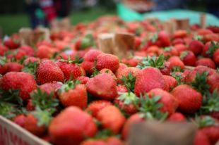 Вкусный способ похудения: как ягоды помогают сбросить лишние килограммы