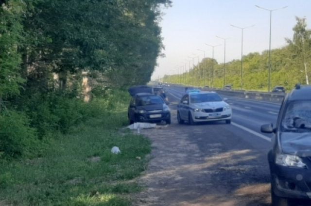В Ульяновске под колёсами автомобиля «Лада Ларгус» погиб мужчина