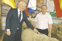 Глава администрации Анатолий Пустоветов (слева) и председатель СПК-племзавода «Подгорное» Анатолий Лаврентьев (справа) гордятся успехами своих овцеводов.