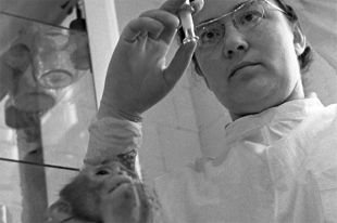 Институт полиомиелита и вирусных энцефалитов АМН СССР (ныне - имени М.П.Чумакова РАН). Новая вакцина обязательно проверяется на животных. 1963 год.