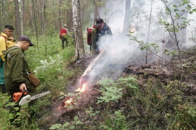 В Свердловской области горят леса и кладбища.