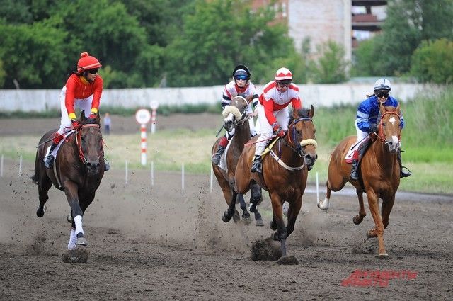 Юбилей губернии пройдет под эгидой Федерации конного спорта России