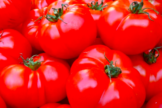 В Омскую область 20 тонн томатов ввезли с опасным насекомым