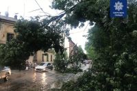 Во Львове произошла мощная буря: один человек пострадал