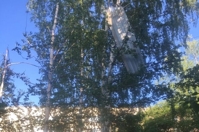 Больше всего жильцов беспокоит лист кровли, который улетел на дерево и остался висеть там. Прямо над детской площадкой.