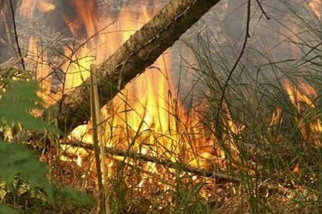 В Каменском на Камчатке класс пожарной опасности приблизился к максимуму