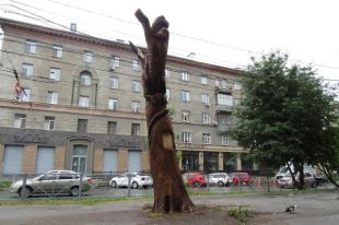 Скульптор выстругал из стволов головы и крылья мифического чудовища. Теперь оно красуется на снимках новосибирцев в соцсетях.
