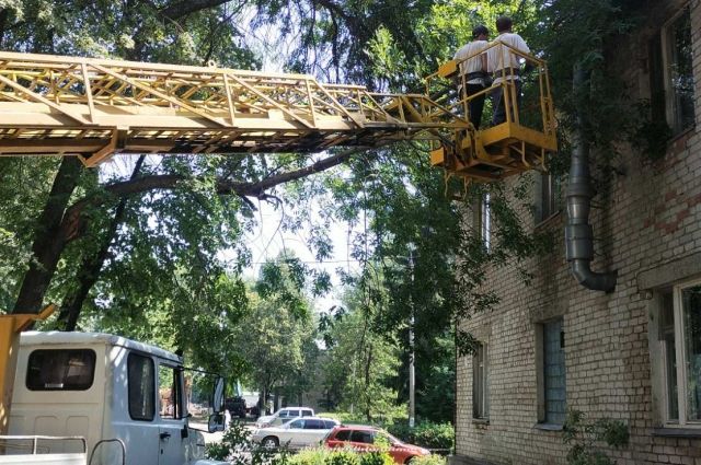В Ульяновске за неделю снесут 200 аварийных деревьев