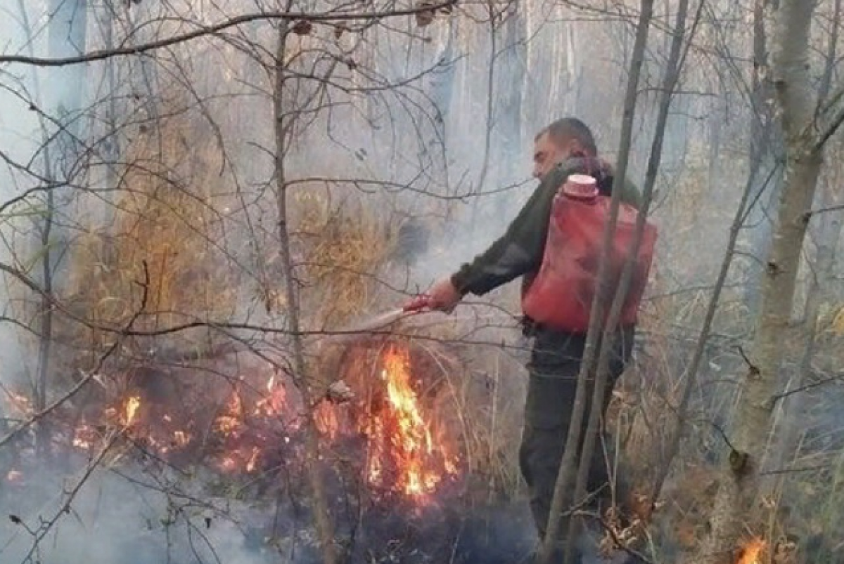 Лесные пожары весной. Пожар в лесу зимой. Пожар в лесу весной.