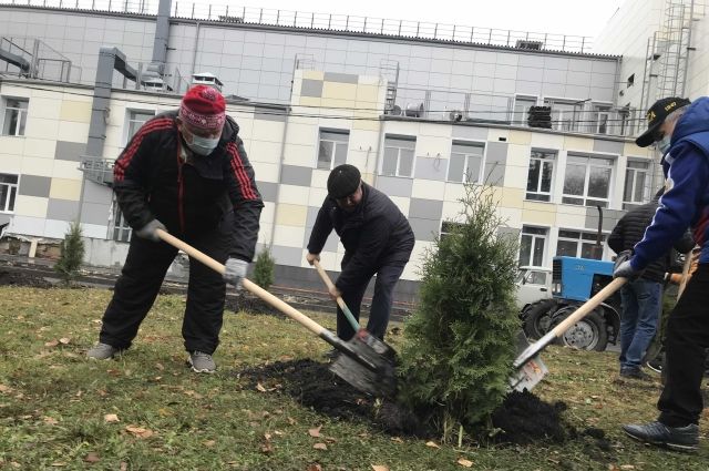 В Псковской области высадили «Сад памяти»