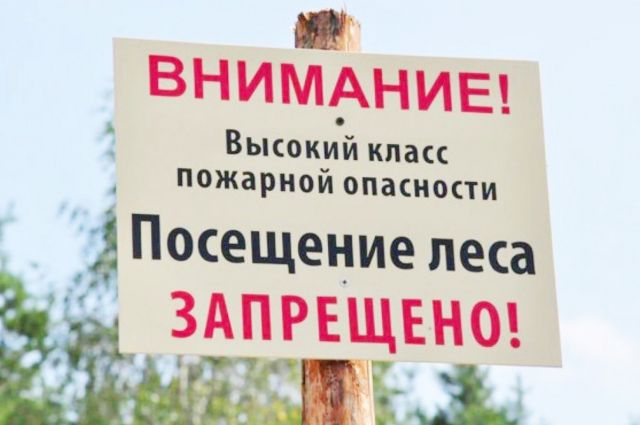 Специалисты хотят уберечь от пожаров леса Ставрополя