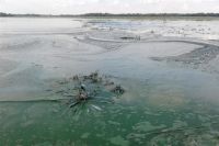 Экологи обнаружили массовое загрязнения речного бассейна Днепра